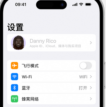 大涌镇appleID维修服务iPhone设置中Apple ID显示为灰色无法使用 