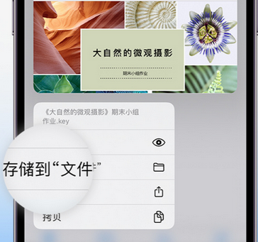 大涌镇apple维修中心分享iPhone文件应用中存储和找到下载文件