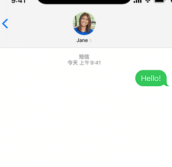 大涌镇apple维修iPhone上无法正常发送iMessage信息