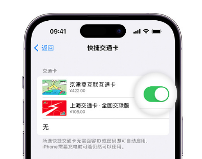 大涌镇apple维修点分享iPhone上更换Apple Pay快捷交通卡手绘卡面 