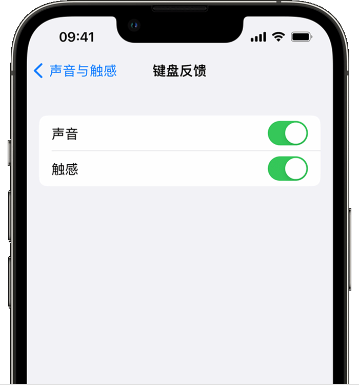 大涌镇苹果14维修店分享如何在 iPhone 14 机型中使用触感键盘 