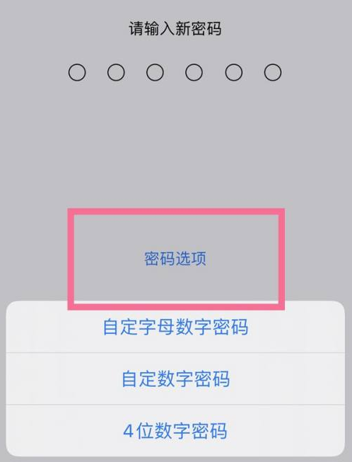 大涌镇苹果14维修分享iPhone 14plus设置密码的方法 