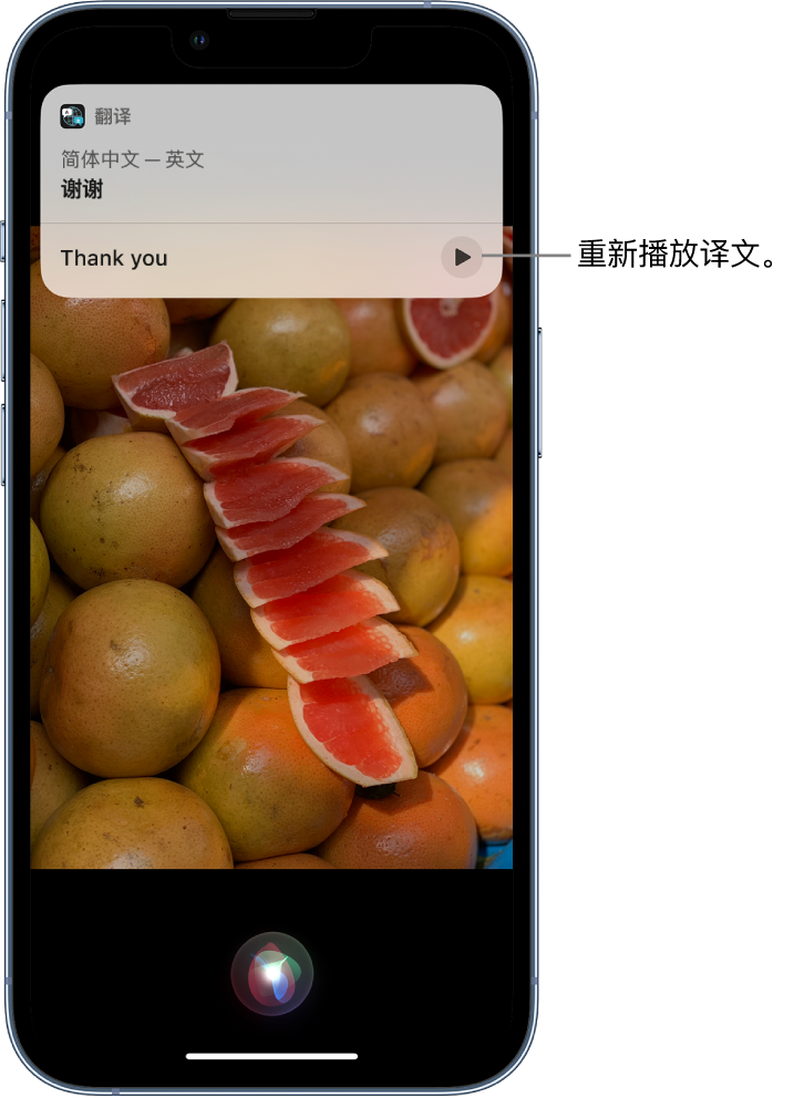 大涌镇苹果14维修分享 iPhone 14 机型中使用 Siri：了解 Siri 能帮你做什么 