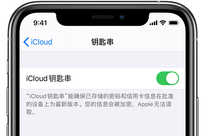 大涌镇苹果手机维修分享在 iPhone 上开启 iCloud 钥匙串之后会储存哪些信息 