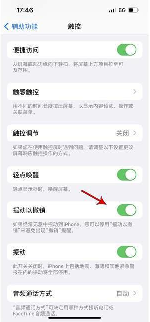 大涌镇苹果手机维修分享iPhone手机如何设置摇一摇删除文字 