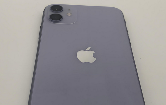 大涌镇苹果11系统维修分享iPhone11手机系统崩溃无法开机如何解决 